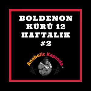 Boldenon Kürü 12 Haftalık #2